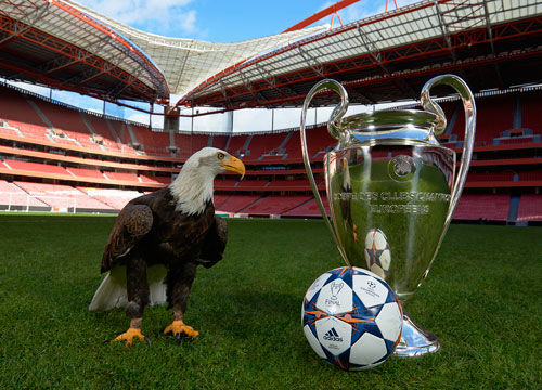 有心得，哈兰德9次欧冠对阵德国球队打进10球（哈兰德欧冠面对德国球队9场斩获10球）